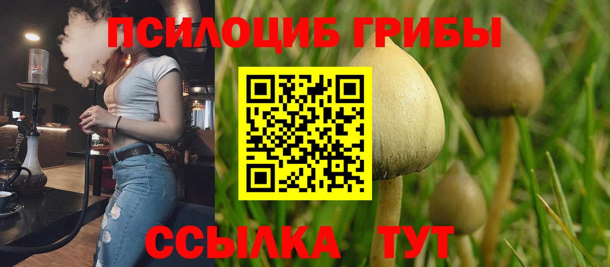 Псилоцибиновые грибы мухоморы Улан-Удэ